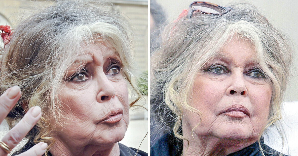 Une photo rare a révélé quel métier Brigitte Bardot a abandonné pour devenir actrice