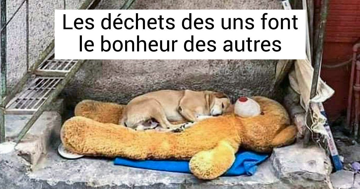 15 Photos qui nous rendent reconnaissants pour cette vie