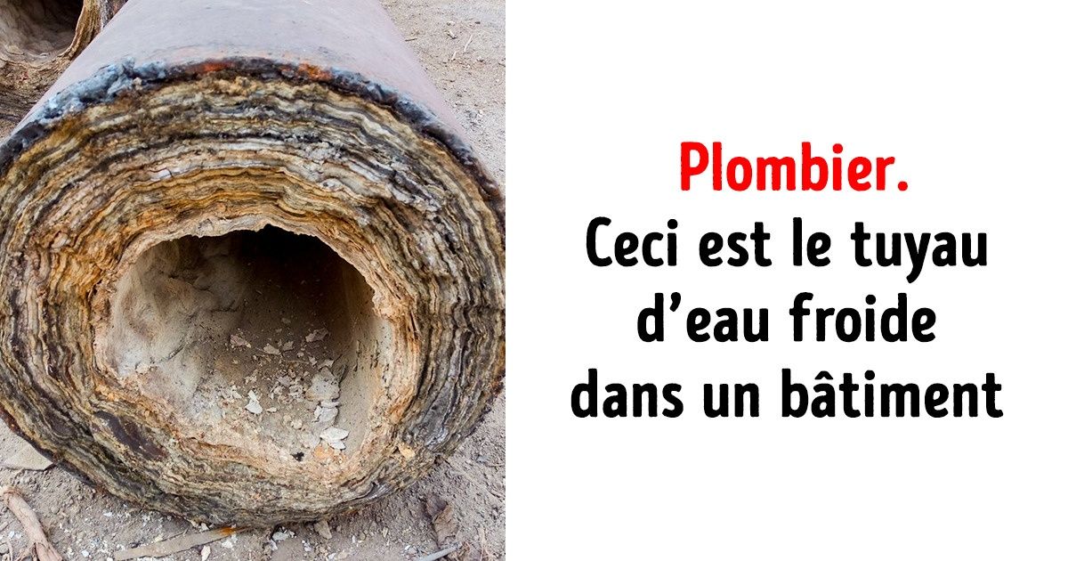 Des professionnels de différents métiers nous montrent toute l’ambiguïté de leur quotidien