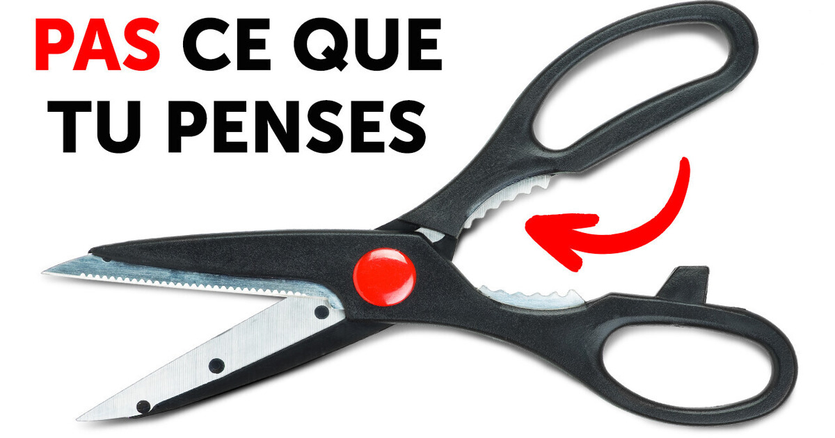 Les fonctions cachées de 15 objets du quotidien Les fonctions cachées de 15 objets du quotidien