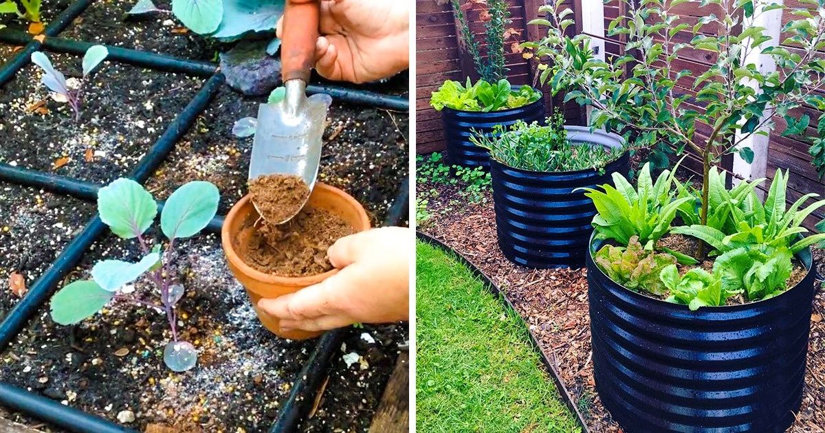 Ces 6 conseils te permettront de facilement construire un joli jardin dans seulement un mètre carré