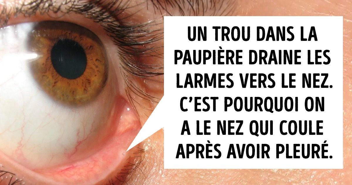 15 Faits sur le corps humain qui vont te surprendre 15 Faits sur le corps humain qui vont te surprendre