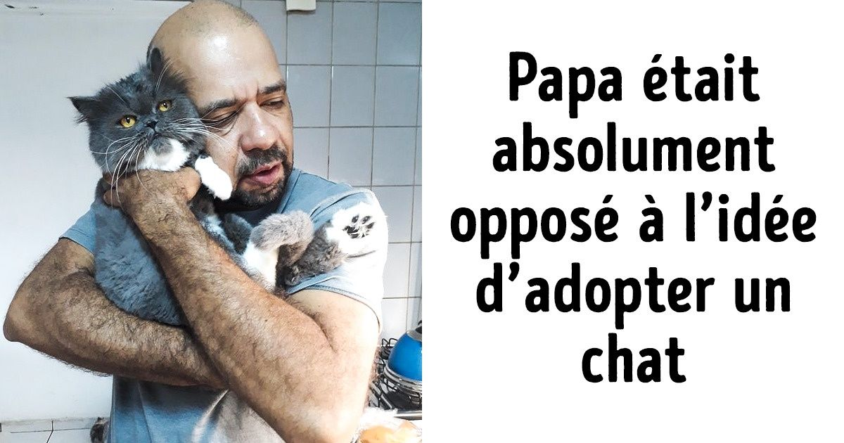 29 Photos qui racontent toute la vérité sur la relation entre les individus et leurs animaux