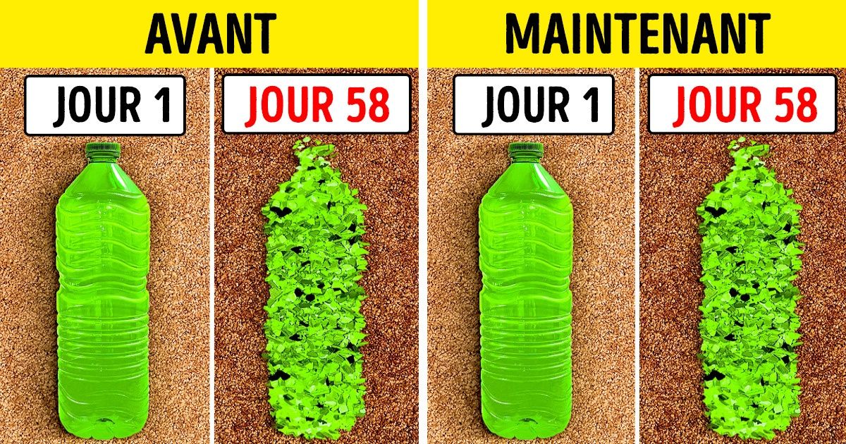 Des scientifiques ont trouvé des bactéries mangeuses de plastique
