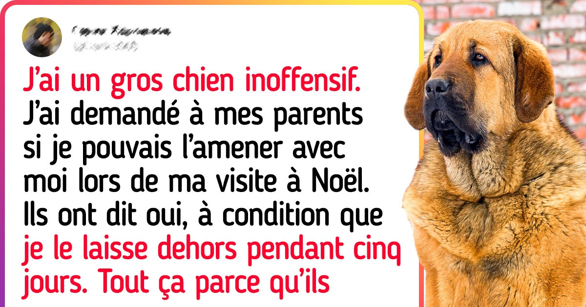 Je refuse de rendre visite à mes parents s’ils insistent pour que je laisse mon chien dehors