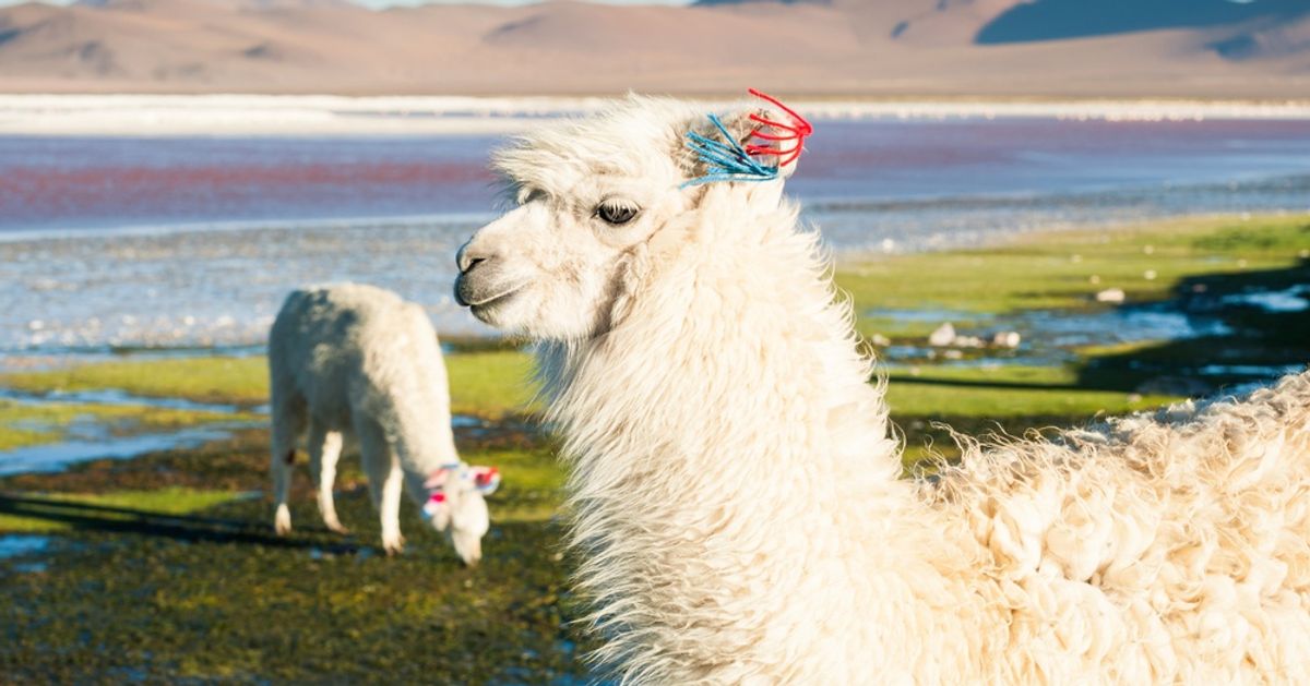 23 Images pour tomber amoureux de la Terre 23 Images pour tomber amoureux de la Terre