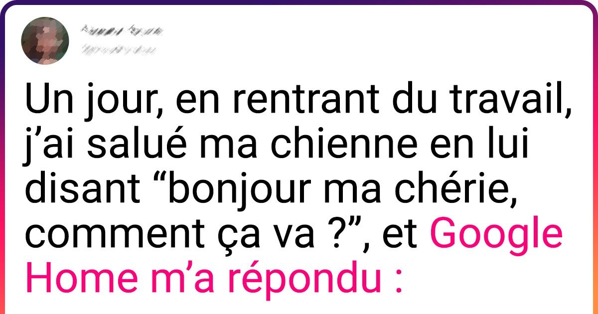 20 Lecteurs de Sympa ont partagé leurs anecdotes avec les assistants virtuels (nouvelle sélection) 20 Lecteurs de Sympa ont partagé leurs anecdotes avec les assistants virtuels (nouvelle sélection)
