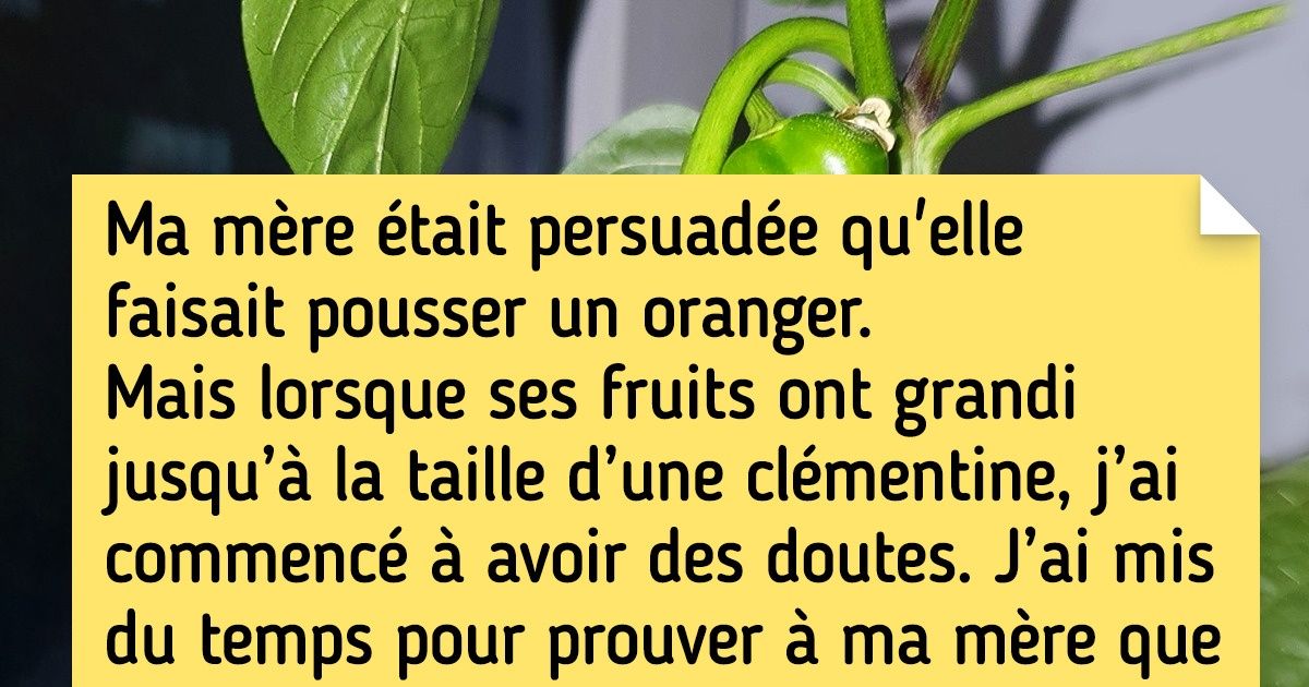 20 Personnes qui ont la main verte et qui ont réussi à créer un vrai paradis verdoyant chez elles