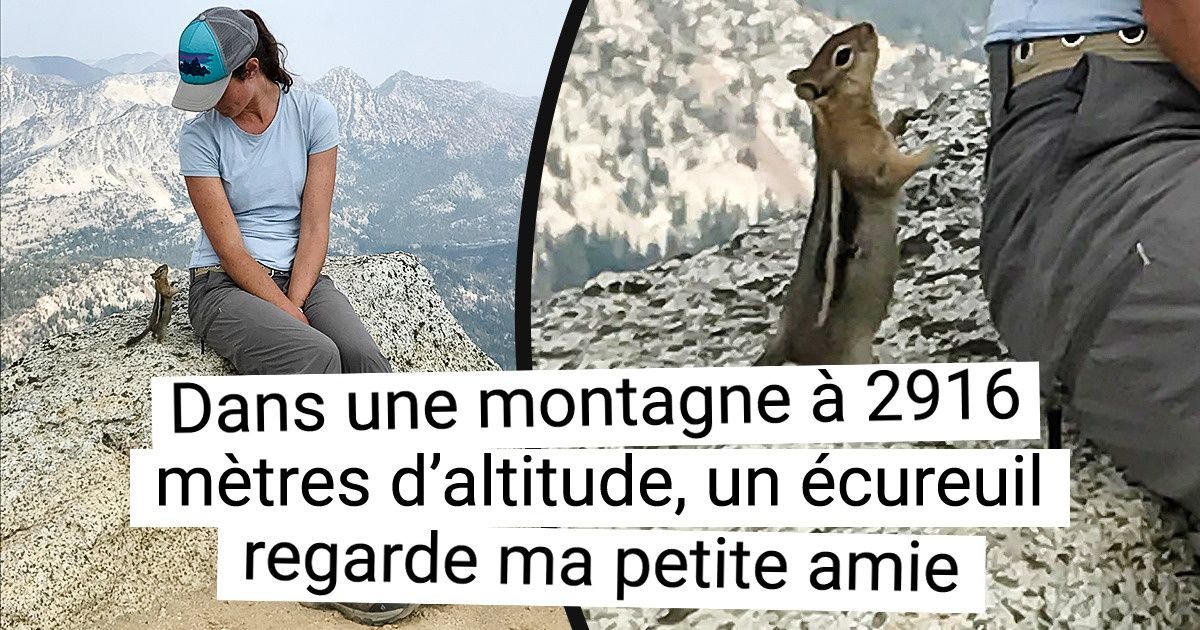 20 Animaux qui te font sentir comme une princesse de Disney