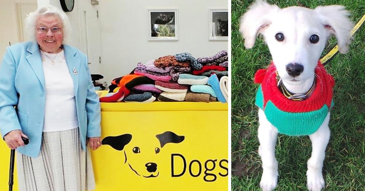 Cette grand-mère de 89 ans a confectionné 450 manteaux et couvertures pour les chiens d’un refuge Cette grand-mère de 89 ans a confectionné 450 manteaux et couvertures pour les chiens d’un refuge