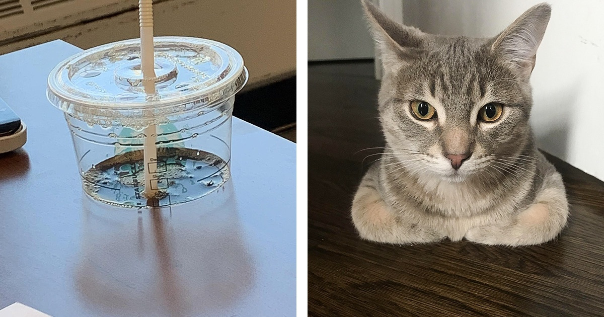 20 Photos qui vont te prendre la tête jusqu’à ce que tu les comprennes