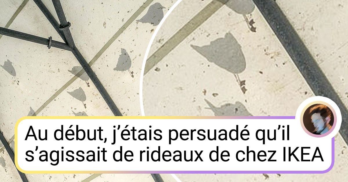 18 Photos qui nous poussent à poser cette question : “Mais que s’est-il passé ici ?”