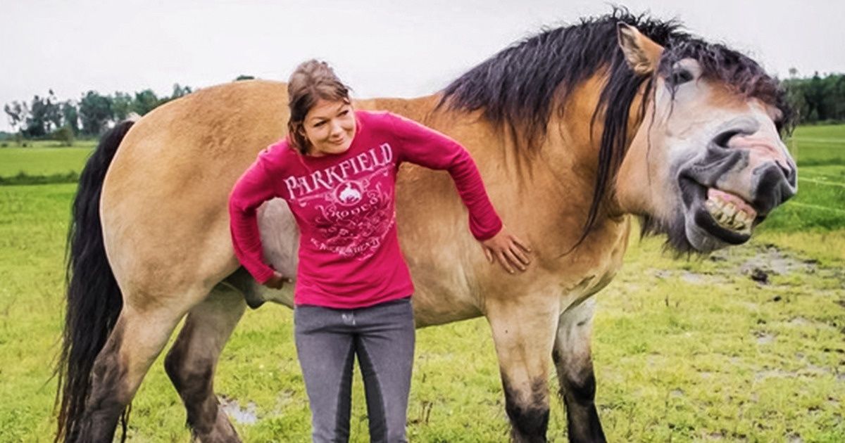 18 Chevaux dont les grimaces feraient la fierté de Jim Carrey