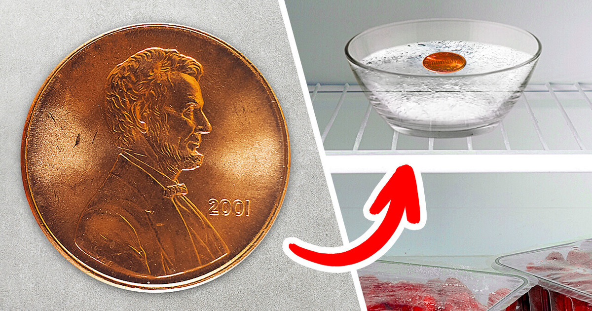 Laisse une pièce de monnaie dans le congélateur avant de quitter la maison Laisse une pièce de monnaie dans le congélateur avant de quitter la maison