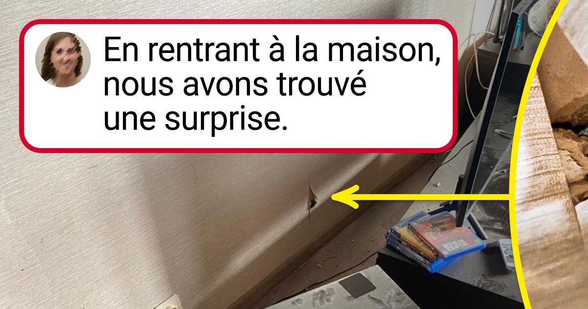 19 Endroits où il faut vraiment s’accrocher pour y habiter