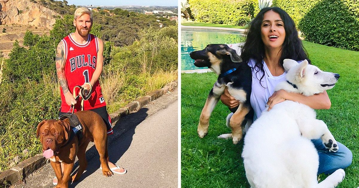 12 Stars qui sont les heureuses propriétaires de chiens (Miley Cyrus en a 7)