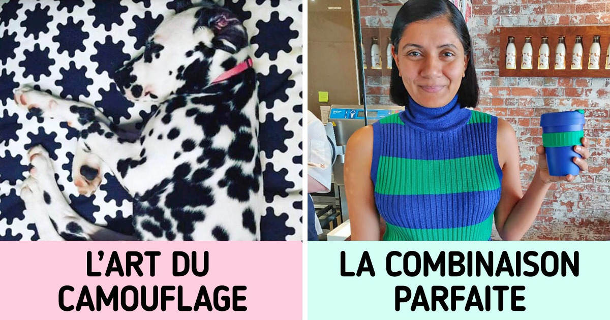 21 Cas qui confirment que des coïncidences surprenantes se produisent