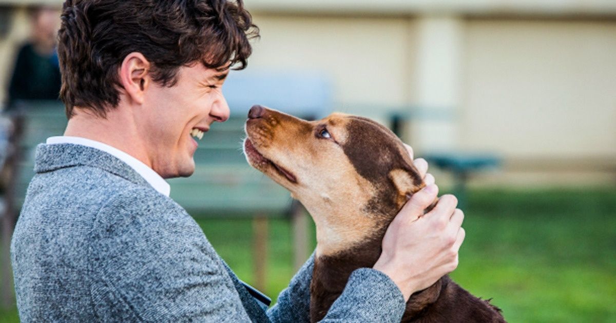 Selon cette étude, ton chien peut juger si une personne est bonne ou mauvaise d’après son comportement avec toi