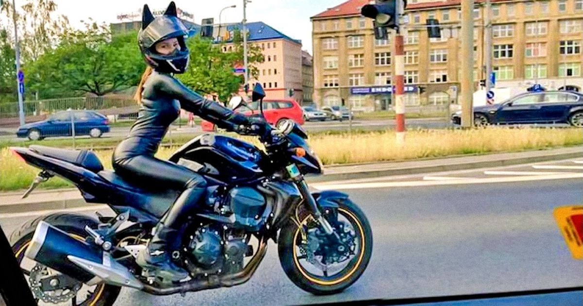 Sur la route, tu peux parfois faire de drôles de rencontres, comme ces 25 exemples très surprenants