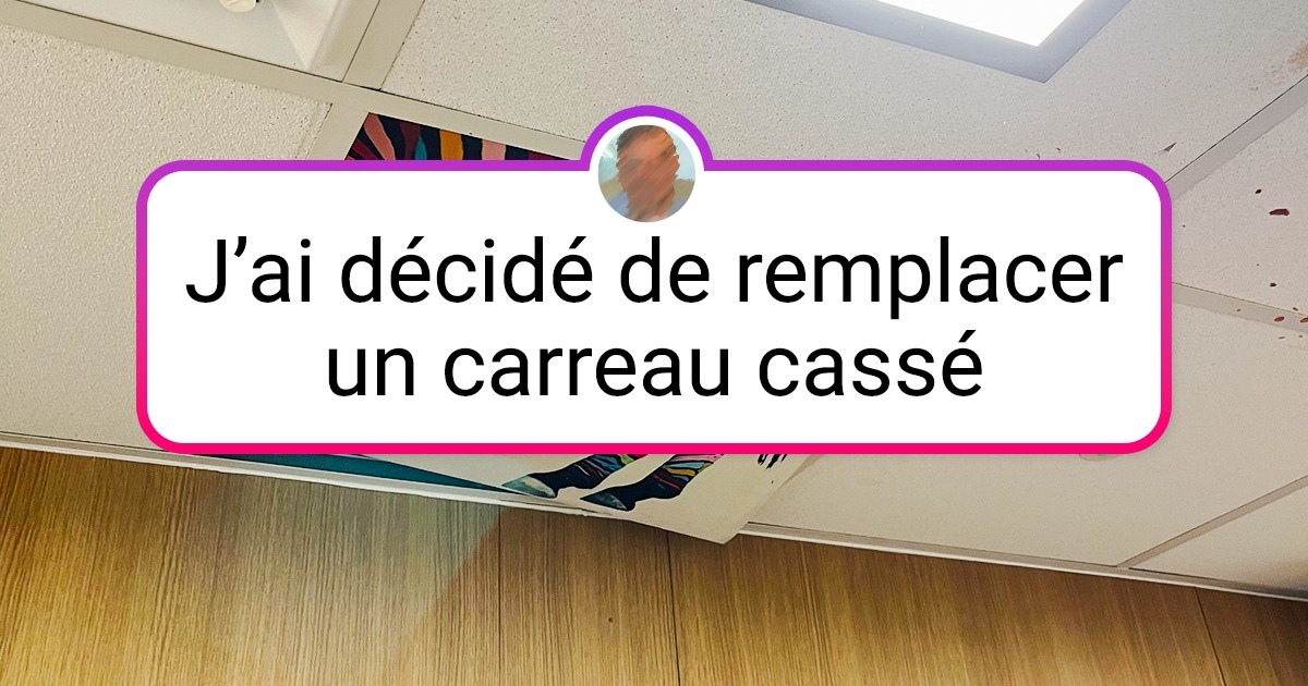 16 Personnes qui savent qu’en faisant des travaux il est très important de tout prendre avec humour