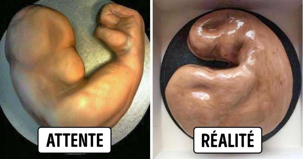 Ces 14 gâteaux pourraient remporter le concours du “plus gros raté de l’année” !