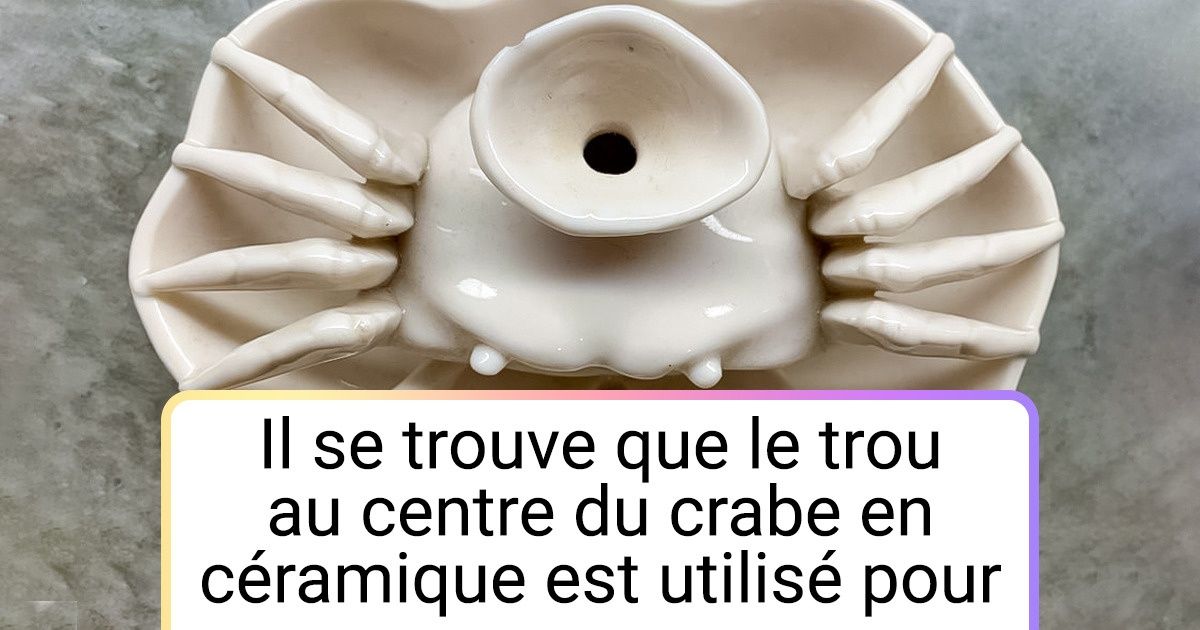 20+ Choses bizarres qui peuvent déconcerter même les plus érudits