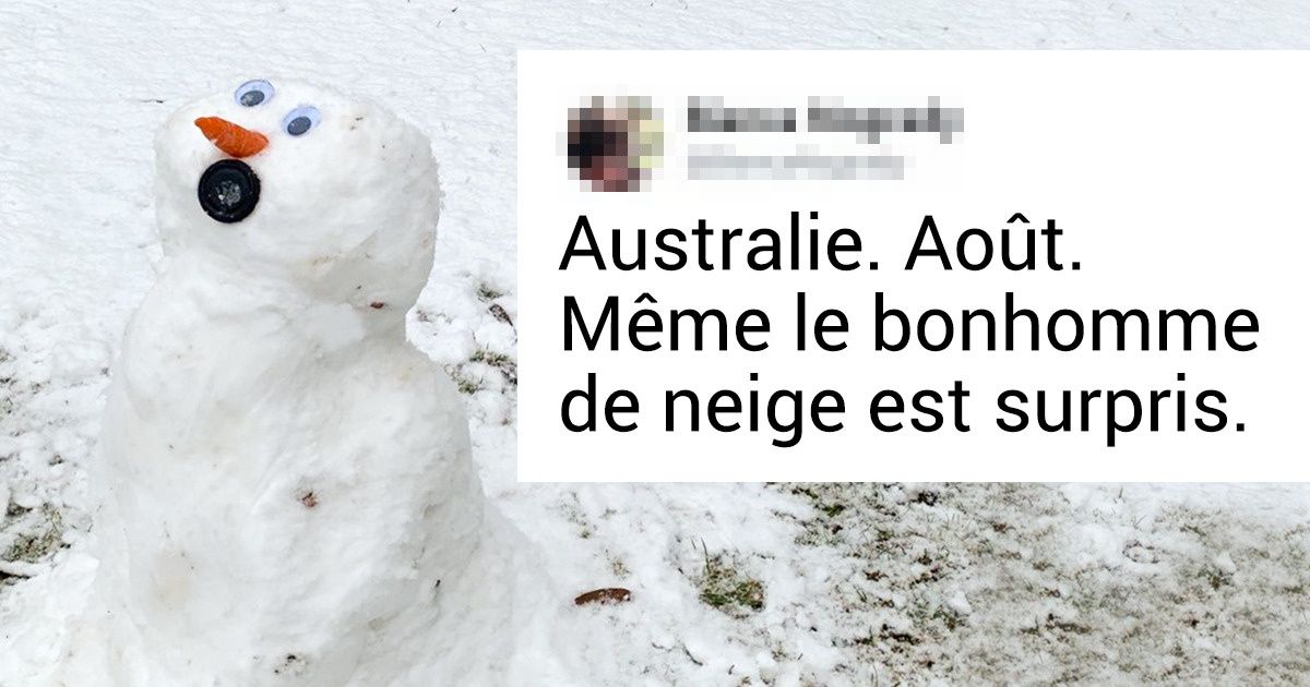 L’Australie couverte de neige : comment les habitants et les kangourous ont réagi à la tempête L’Australie couverte de neige : comment les habitants et les kangourous ont réagi à la tempête