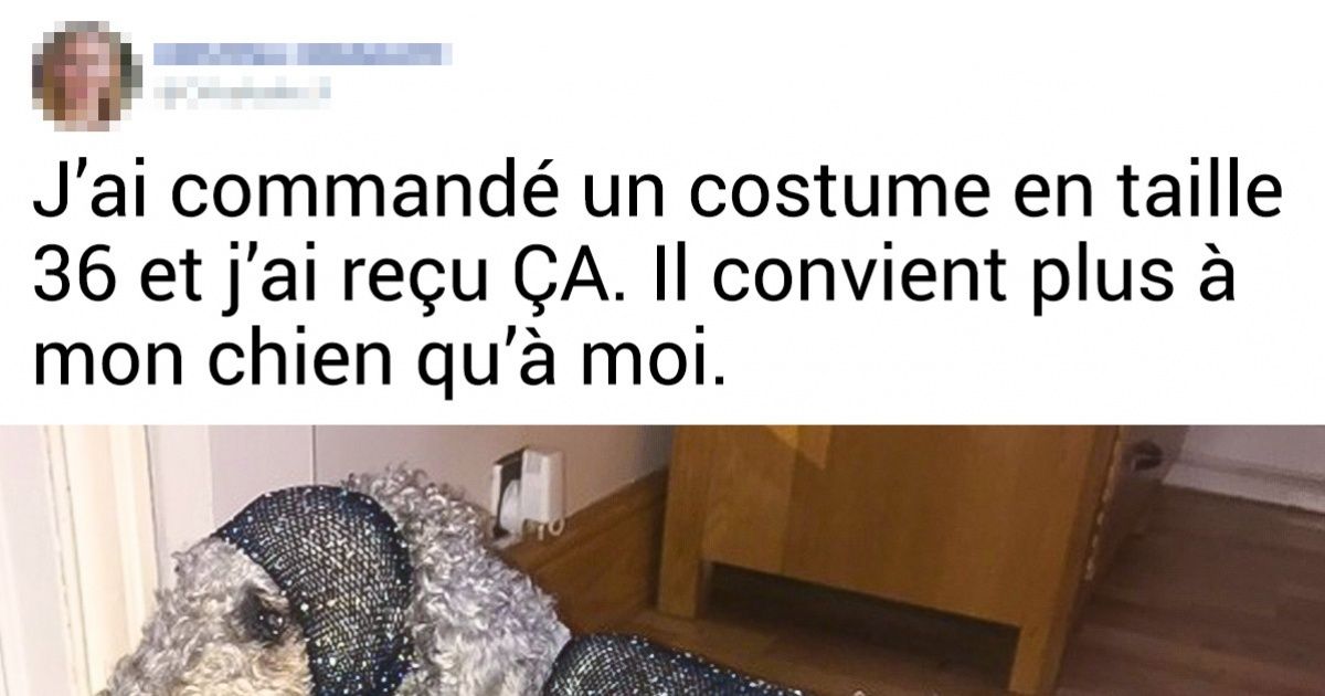12 Preuves que les commentaires sur internet peuvent être encore plus dramatiques qu’un film