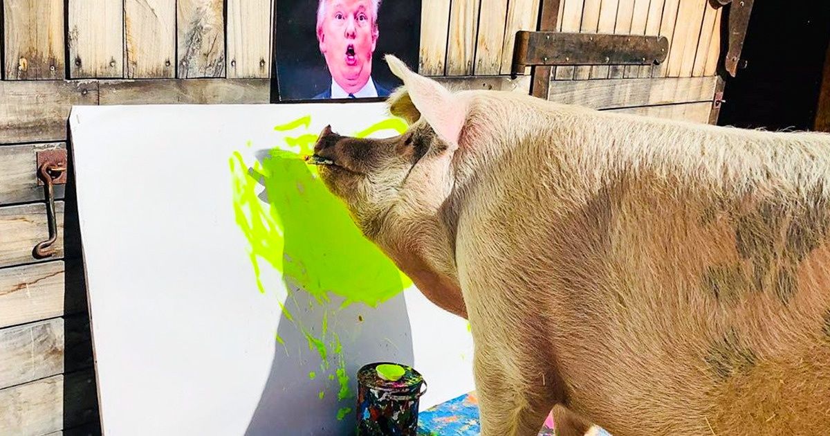 7 Animaux incroyables qui sont de vrais artistes et qui ont déjà exposé leurs œuvres dans des concours (et ont même gagné) 7 Animaux incroyables qui sont de vrais artistes et qui ont déjà exposé leurs œuvres dans des concours (et ont même gagné)