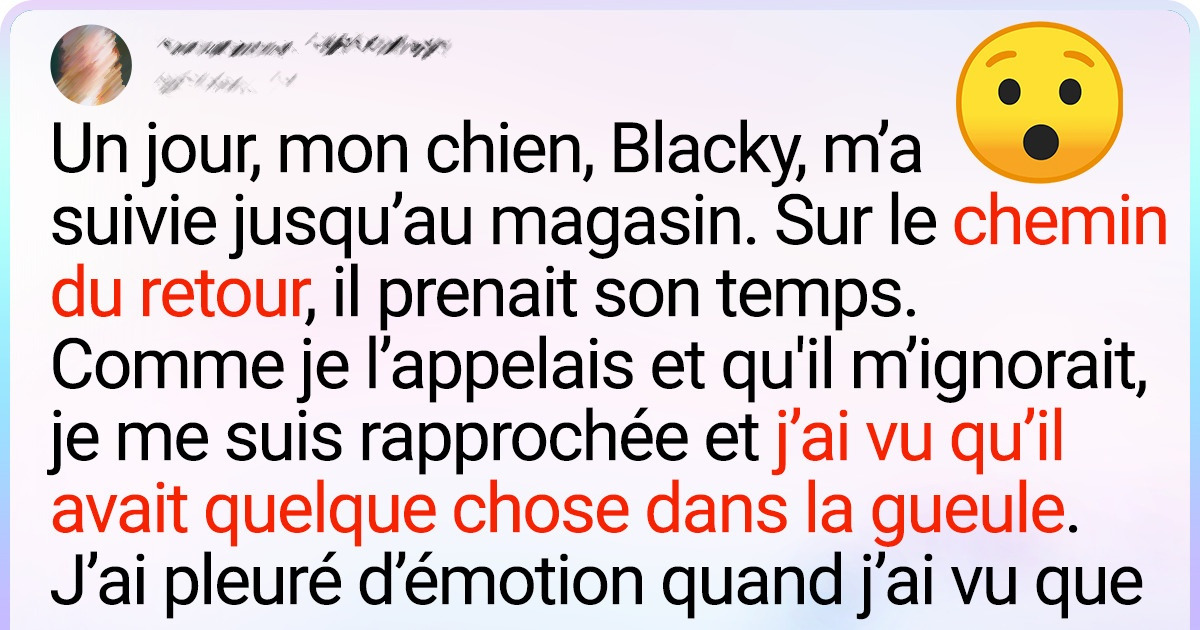 20 Anecdotes d’animaux qui confirment que cohabiter avec un être poilu est absolument génial 20 Anecdotes d’animaux qui confirment que cohabiter avec un être poilu est absolument génial