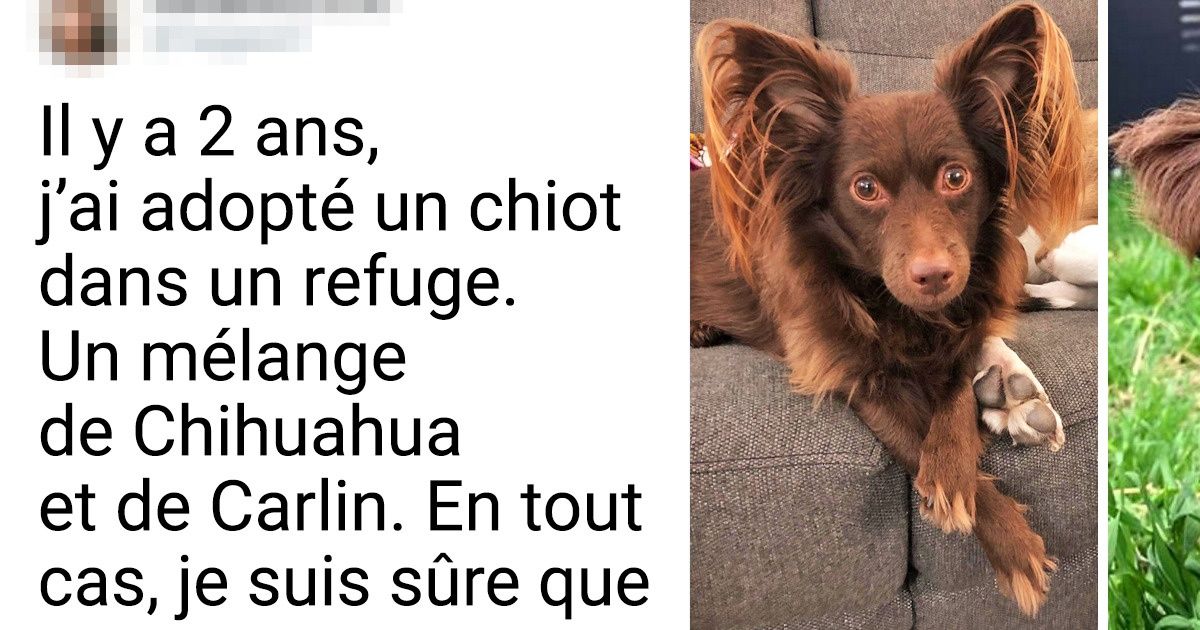 15+ Preuves qu’avec le temps, va, tout s’en va