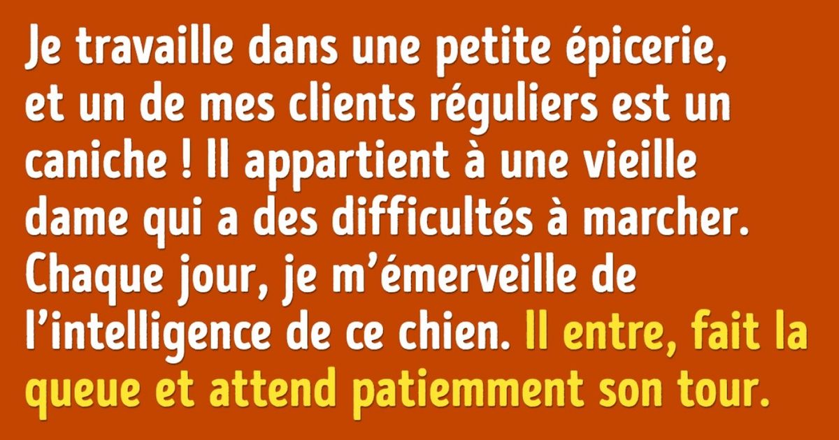 Ces 10 histoires nous prouvent qu’il n’y a rien de plus fidèle qu’un chien