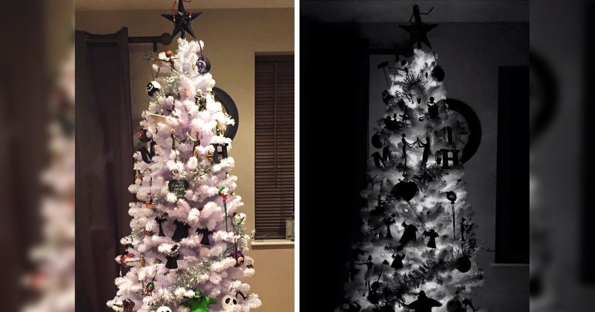 16 personnes qui sont lassées des arbres de Noël classiques, alors ils ont décidé de créer quelque chose de nouveau