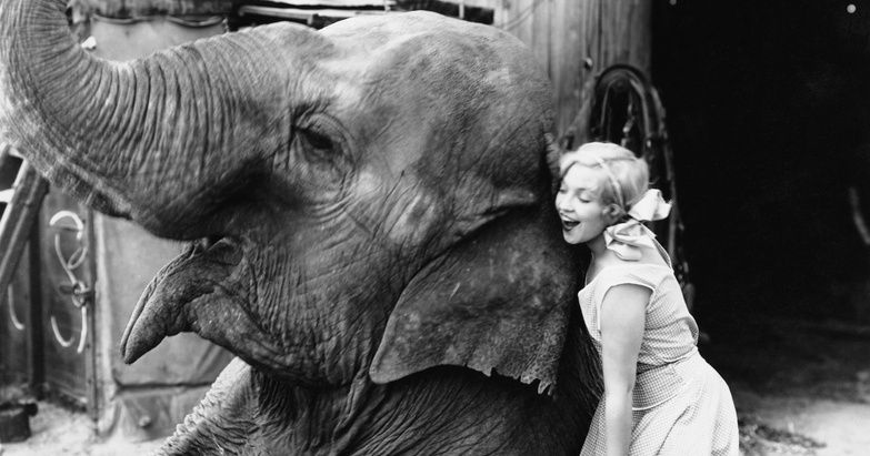 ‌18 ‌Photos‌ ‌rétro‌ ‌d’animaux‌ ‌qui‌ ‌se‌ ‌comportent‌ ‌comme‌ ‌des‌ ‌humains‌
