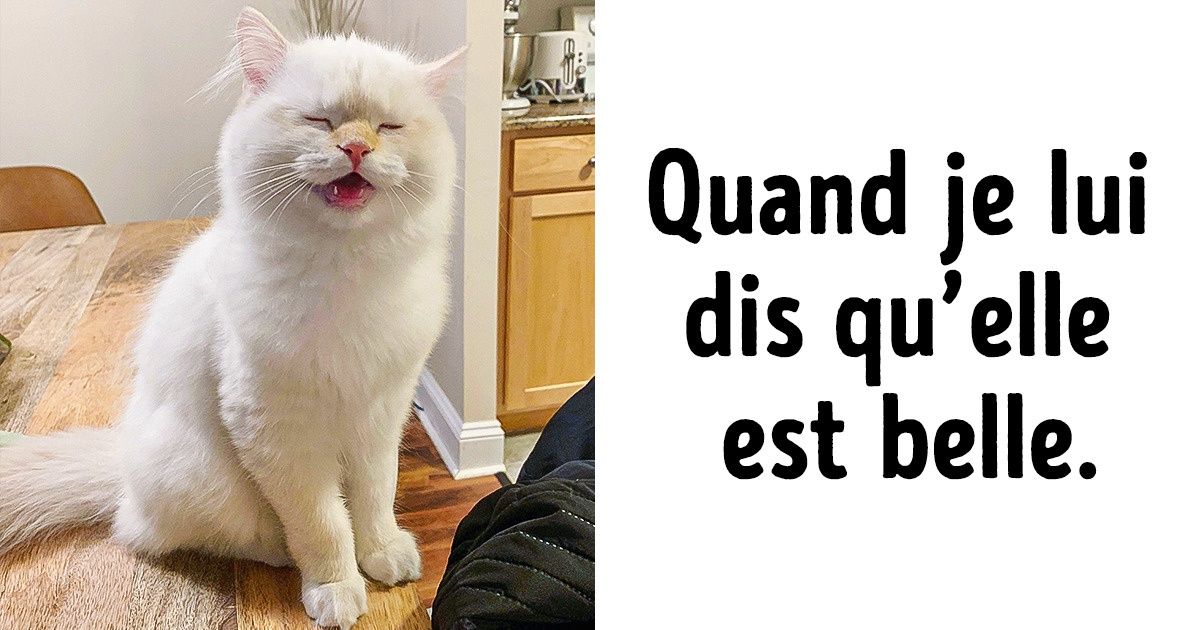 20 Photos qui rendront tes journées un peu plus ensoleillées
