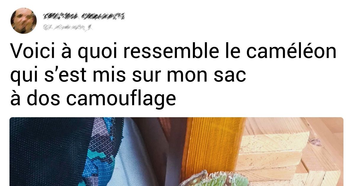 13 Preuves que certaines choses toutes simples pourraient bien nous surprendre