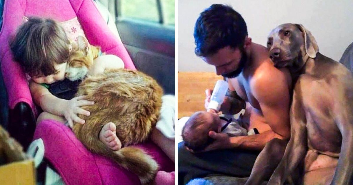 19 Photos d’animaux avec leurs propriétaires qui te feront sourire 19 Photos d’animaux avec leurs propriétaires qui te feront sourire