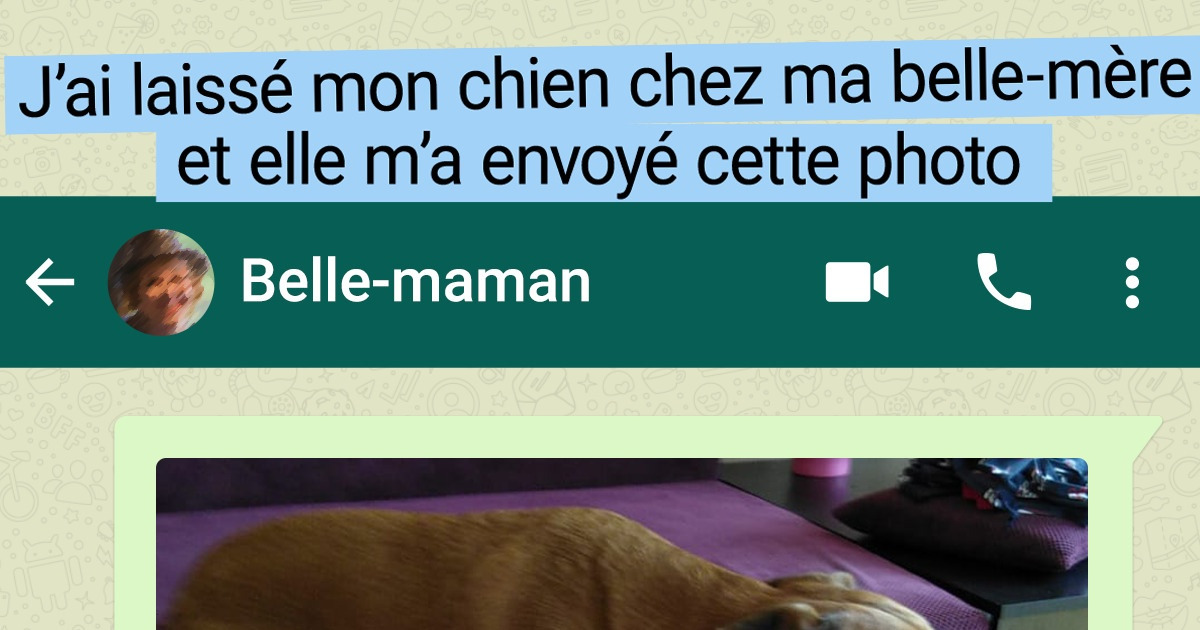15+ Personnes qui ont gagné à la loterie familiale et qui peuvent se confier à leur belle-mère