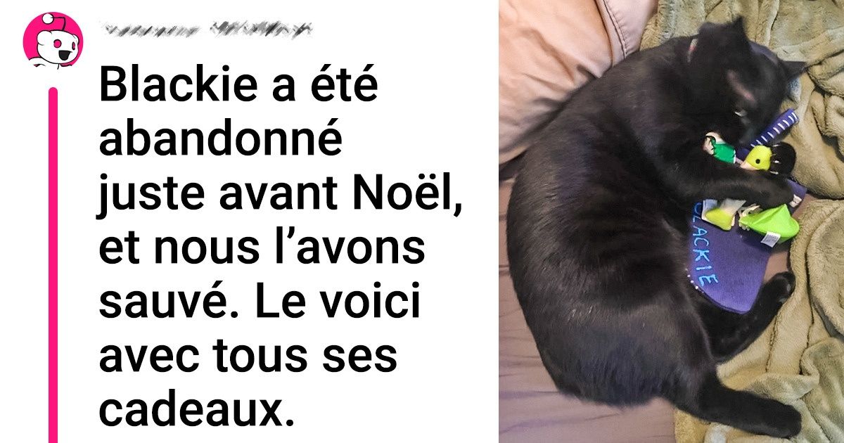 21 Preuves que les chats noirs peuvent, eux aussi, ensoleiller nos vies