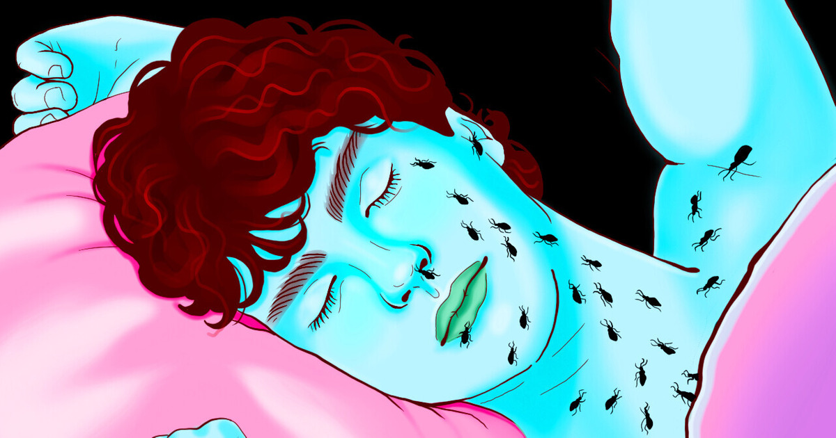 Les punaises de lit ne font pas partie de la chaîne alimentaire, alors pourquoi existent-elles ? Les punaises de lit ne font pas partie de la chaîne alimentaire, alors pourquoi existent-elles ?