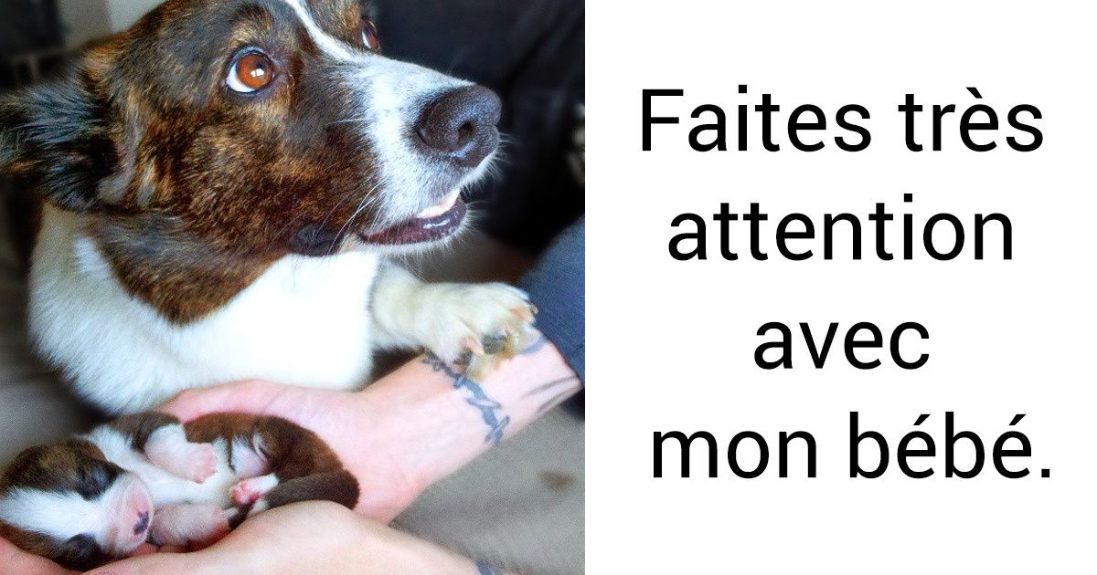 20 Photos qui montrent l’amour sous toutes ses formes, et dans toutes ses déclinaisons