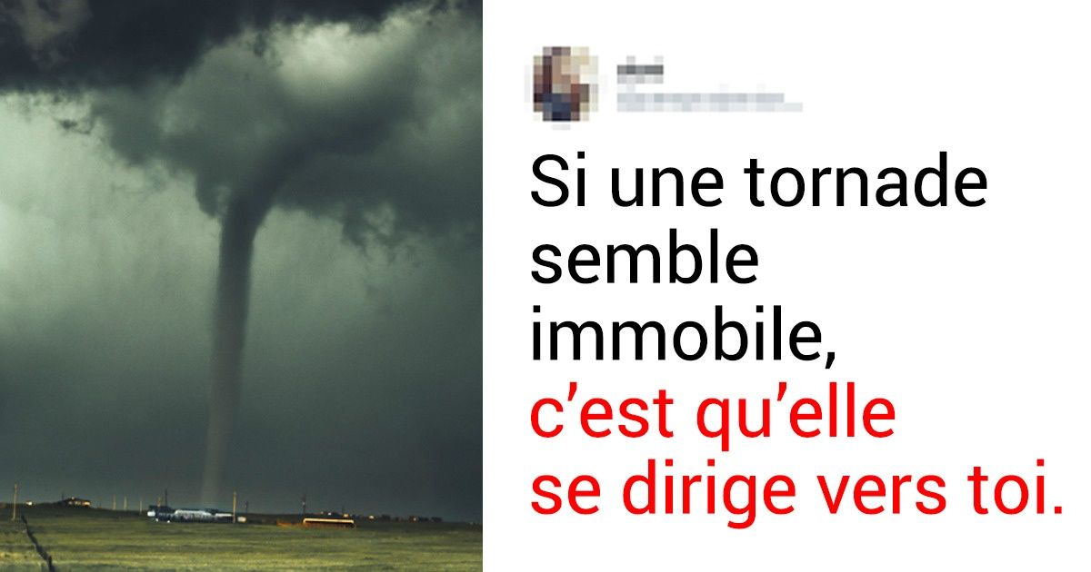 Des internautes partagent des conseils de survie que nous ne devrions jamais oublier