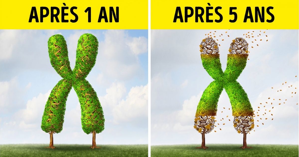 Voici ce qui se produit dans ton corps lorsque tu restes assis 8 heures par jour