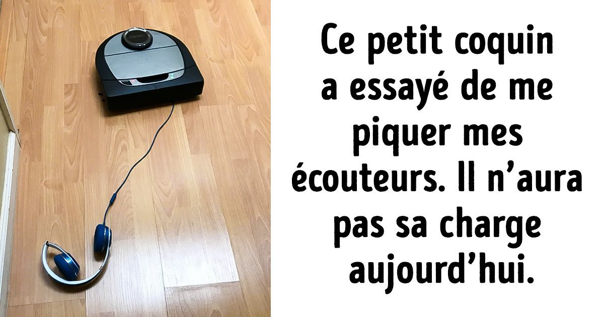 20 Photos d’internautes qui ont réussi à capturer des situations insolites