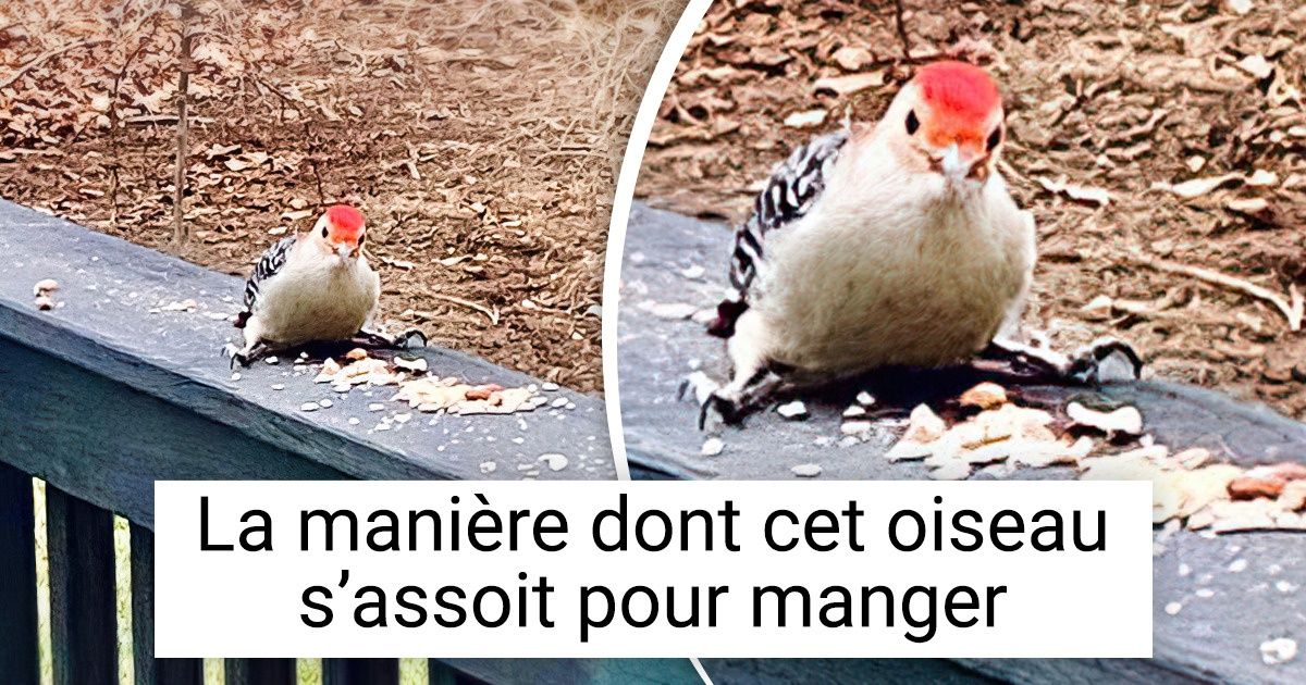 15 Photos qui prouvent que Dame Nature aime nous offrir régulièrement de bien jolis spectacles