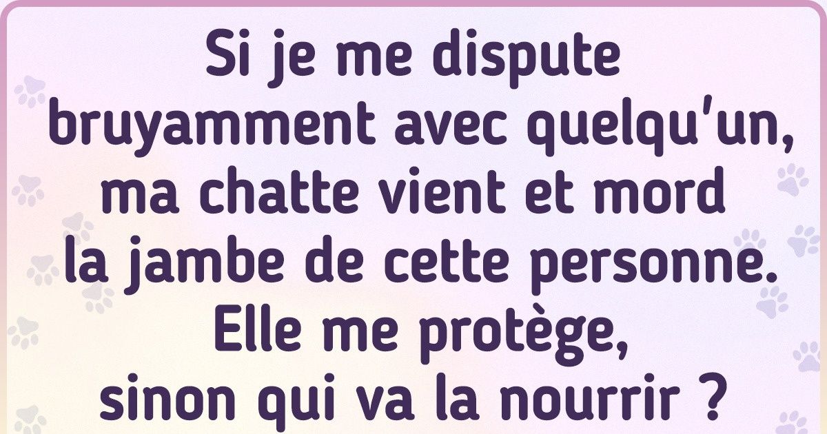 17 Preuves que les chats sont très intelligents