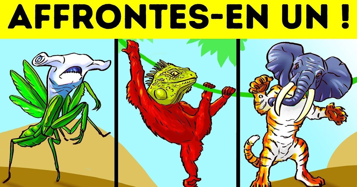12 Énigmes que tu dois résoudre pour survivre