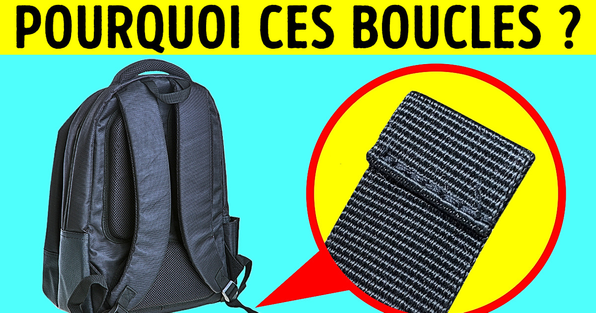 Ne Tombe Jamais à Court de Choses à Dire : 15 Faits Insolites