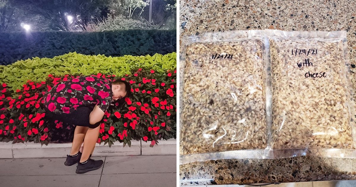 20 Photos parfaites qui méritent les compliments du chef