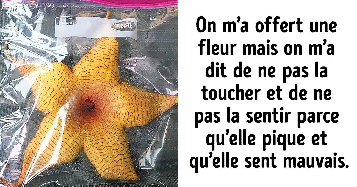 20+ Cas où la fin a été plus intéressante que l’histoire en elle-même !